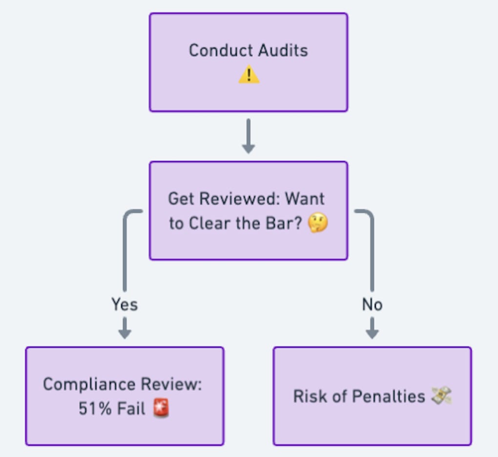 A flowchart showing 51% companies didn’t clear the review in recent time and warning the reader to conduct audits to avoid any unnecessary penalties. 